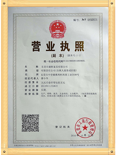 开云(中国)-营业执照